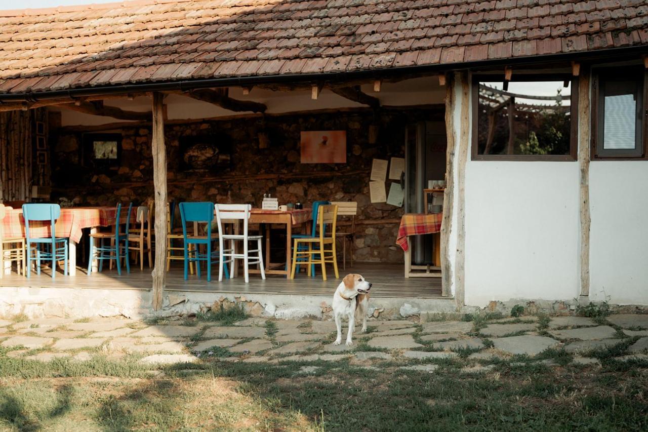 Отель The Old Nest Madzharovo Экстерьер фото